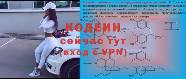 эйфоретик Гусев