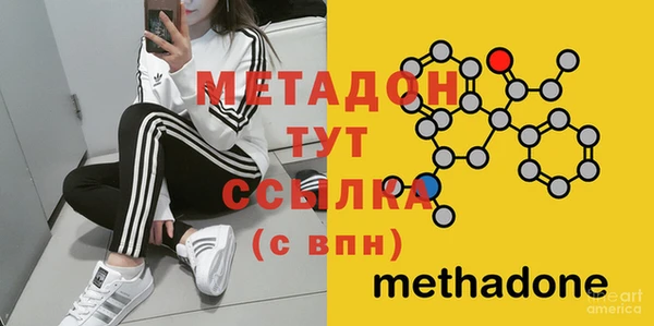 прущие грибы Новочеркасск