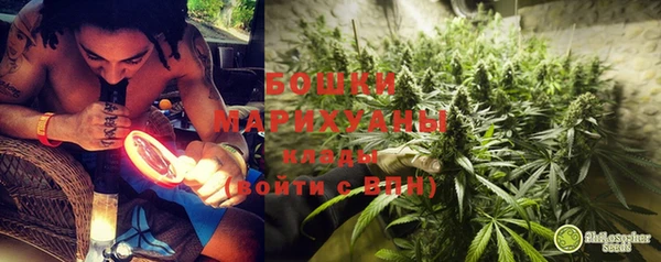 эйфоретик Гусев