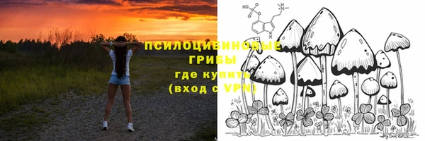 соль ск Гусиноозёрск