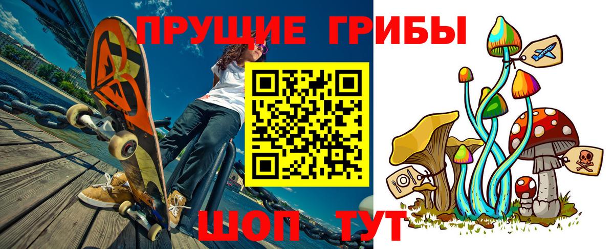 Псилоцибиновые грибы мицелий  Вход с VPN  Людиново 